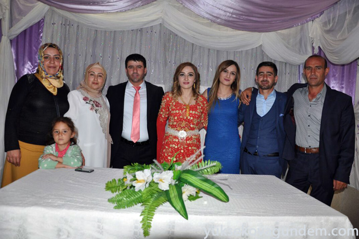 Aslan Ailesinin Mutlu Günü 73