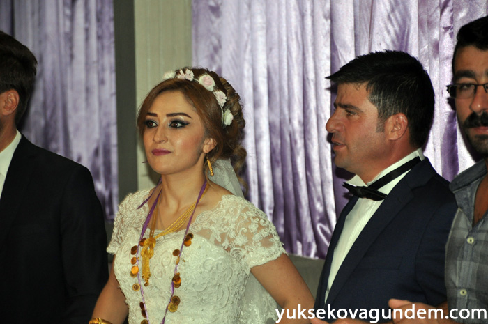 Aslan Ailesinin Mutlu Günü 79