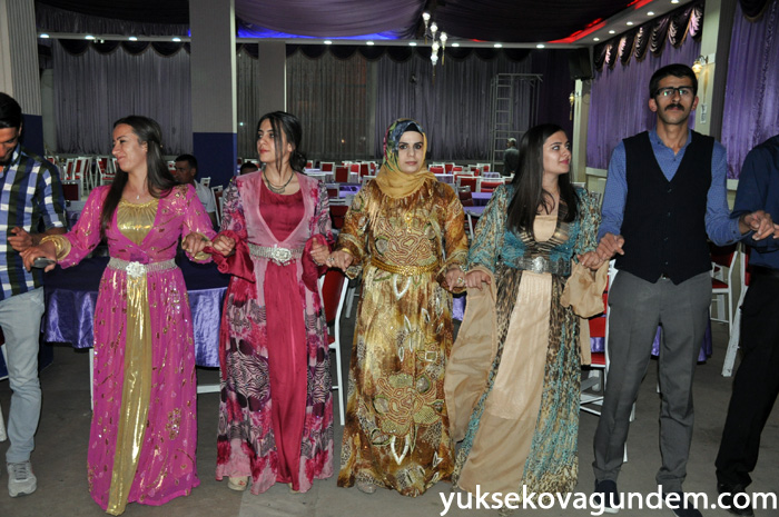 Aslan Ailesinin Mutlu Günü 94