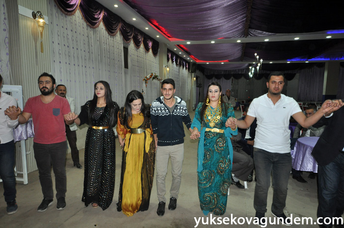 Aslan Ailesinin Mutlu Günü 96