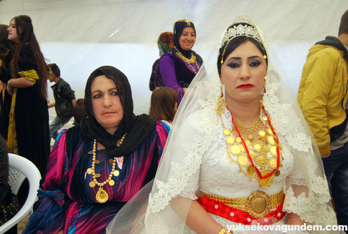 Yüksekova Düğünleri (22-23) Ekim 2016 92