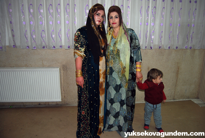 Yüksekova Düğünleri (05-06) Kasım 2016 32