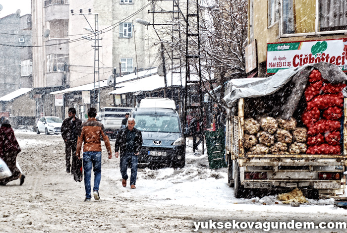 Yüksekova'da Kar Yağışı 10