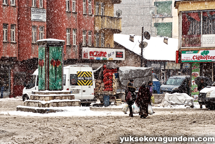 Yüksekova'da Kar Yağışı 20