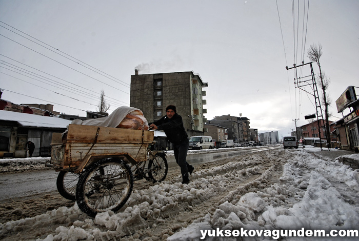 Yüksekova'da Kar Yağışı 21