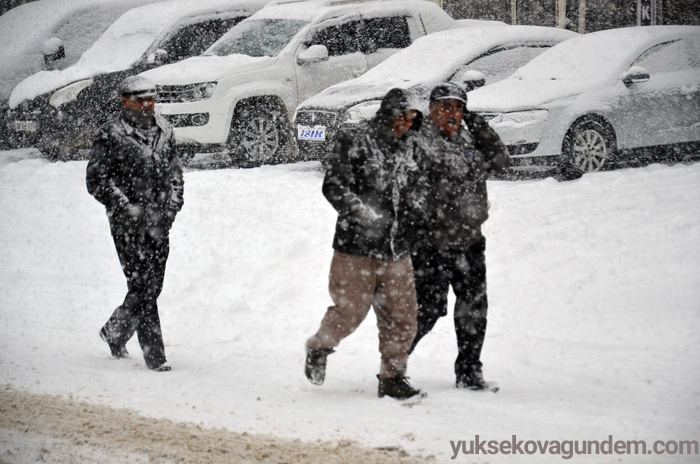 Yüksekova'da kar yağışı 5