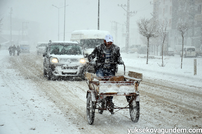 Yüksekova'da kar yağışı 7