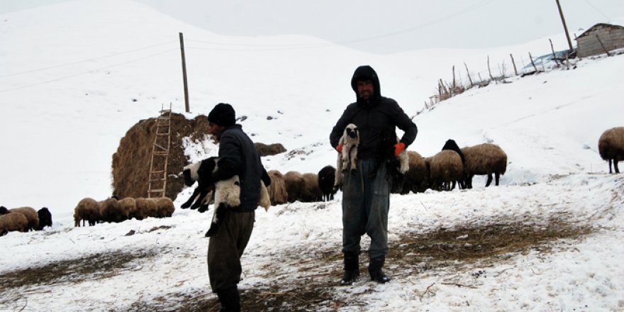 Yüksekova'da köylüler yetkililerden destek bekliyor