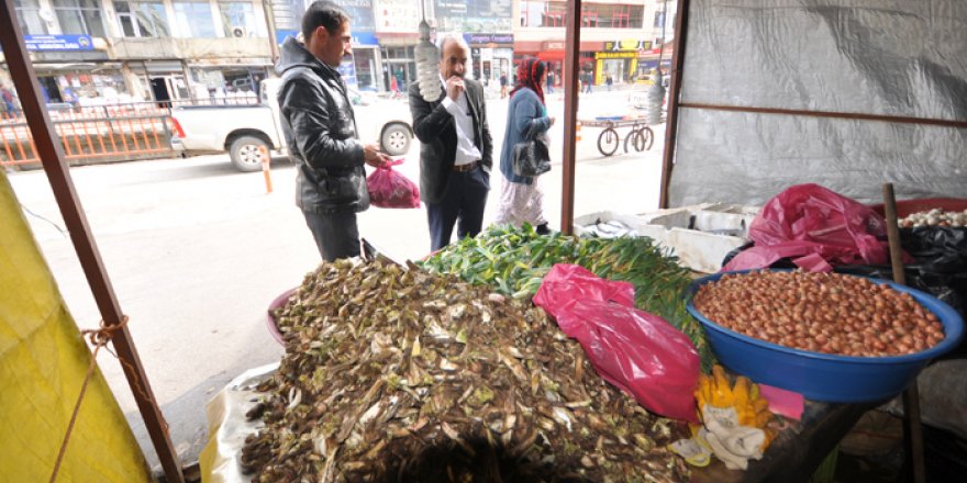 Yüksekova'da Kenger Tezgahlardaki Yerini Aldı