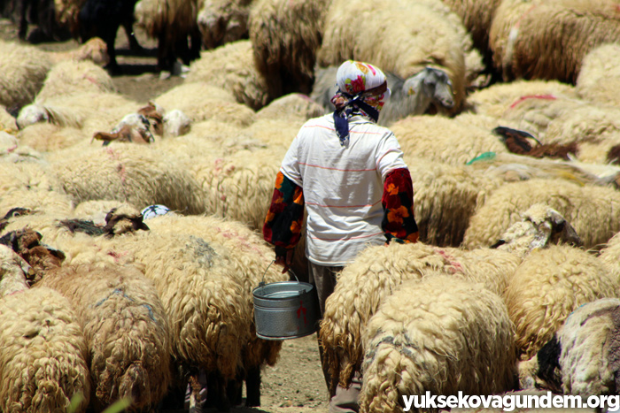 'Otlu Peynirin' zorlu yapım süreci... 19