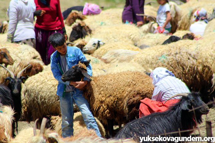 'Otlu Peynirin' zorlu yapım süreci... 21