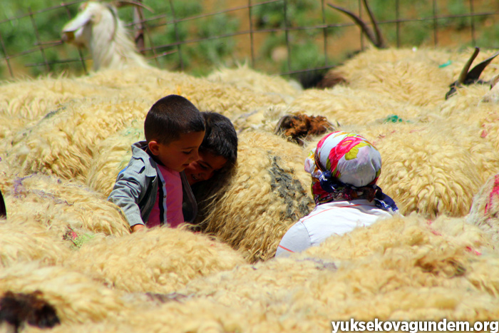 'Otlu Peynirin' zorlu yapım süreci... 23