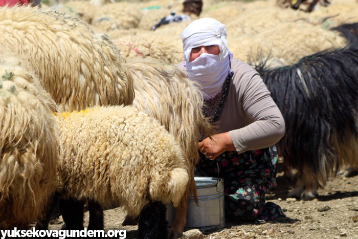'Otlu Peynirin' zorlu yapım süreci... 24