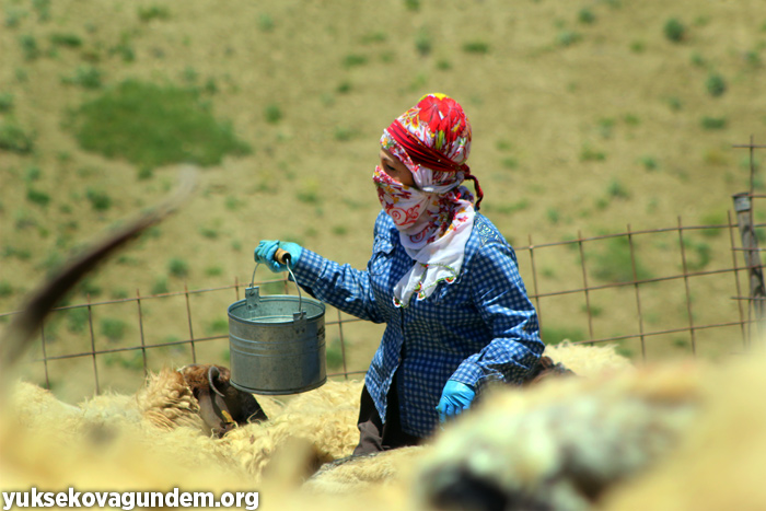'Otlu Peynirin' zorlu yapım süreci... 26