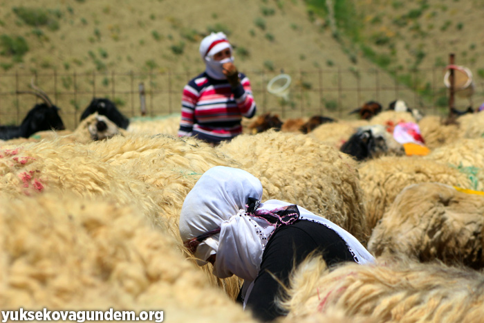 'Otlu Peynirin' zorlu yapım süreci... 27