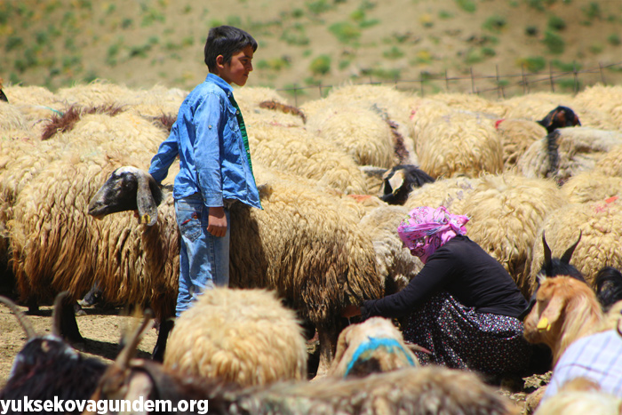 'Otlu Peynirin' zorlu yapım süreci... 29