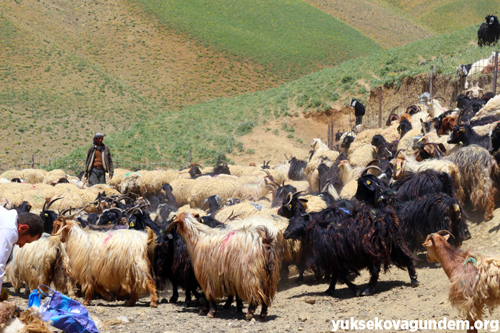 'Otlu Peynirin' zorlu yapım süreci... 30