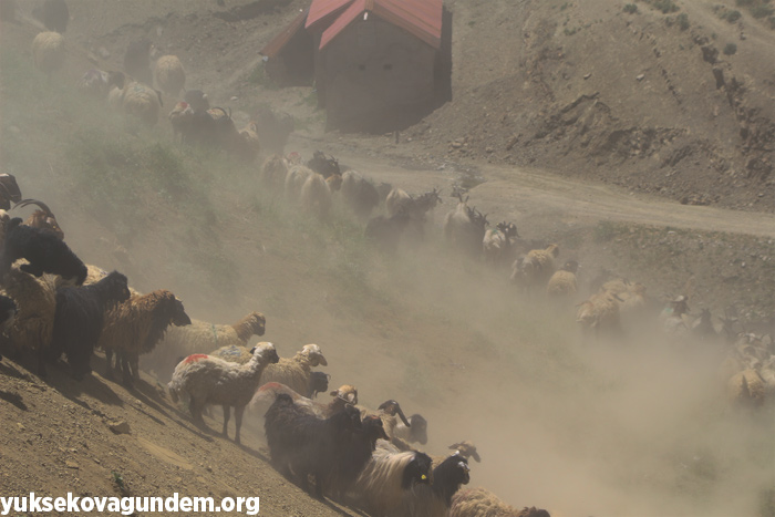 'Otlu Peynirin' zorlu yapım süreci... 31