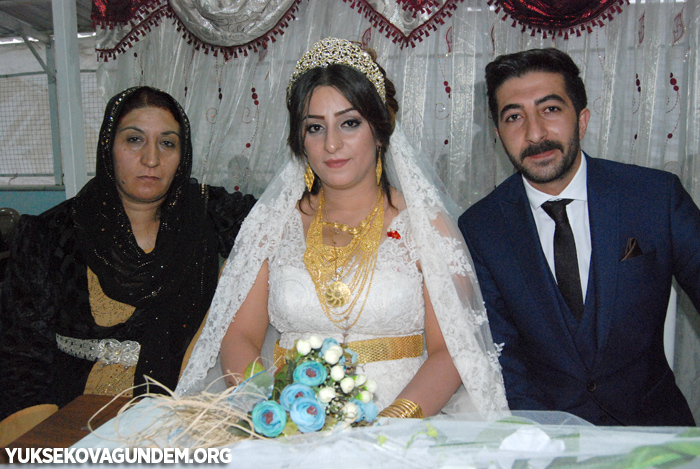 Han Ailesinin Mutlu Günü 135