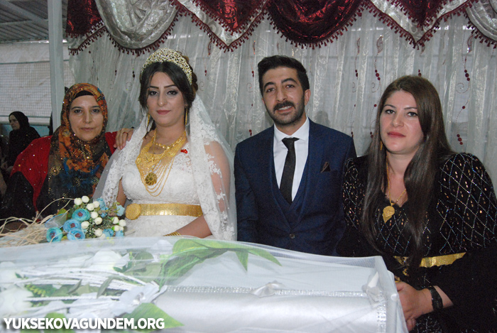 Han Ailesinin Mutlu Günü 136