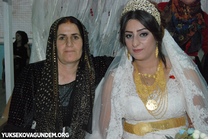 Han Ailesinin Mutlu Günü 137