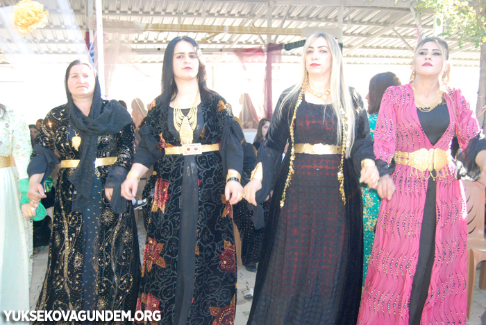 Han Ailesinin Mutlu Günü 31