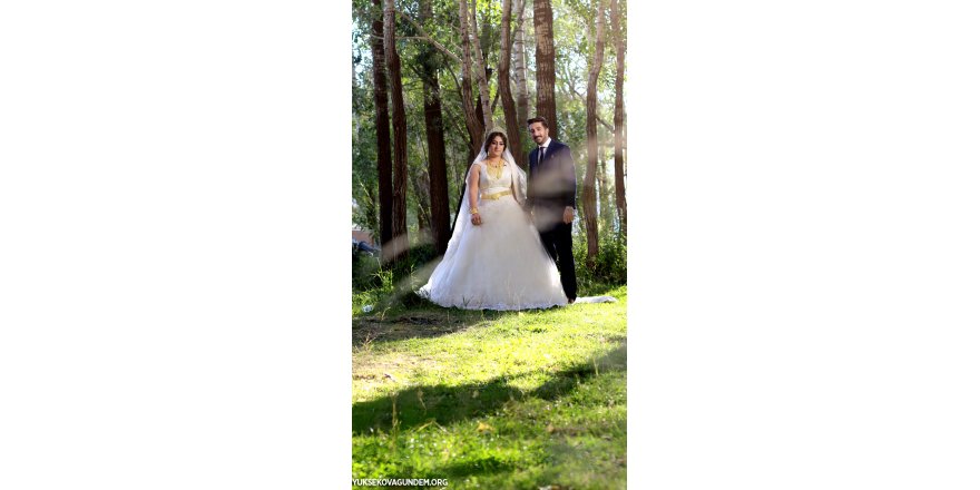 Han Ailesinin Mutlu Günü