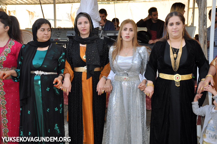 Yüksekova Düğünleri (30-01 Ekim) 2017 159