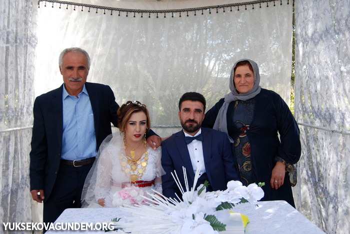 Yüksekova Düğünleri (30-01 Ekim) 2017 166