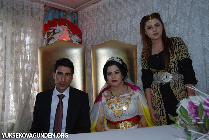 Yüksekova Düğünleri (30-01 Ekim) 2017 211