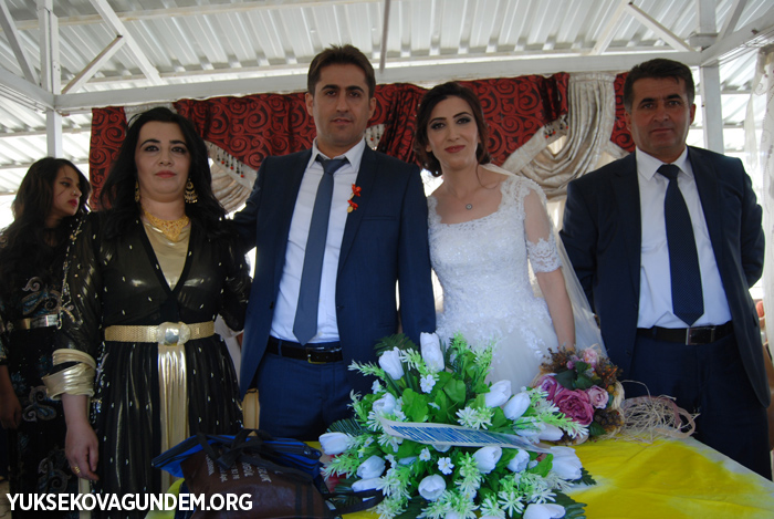 Yüksekova Düğünleri (30-01 Ekim) 2017 221