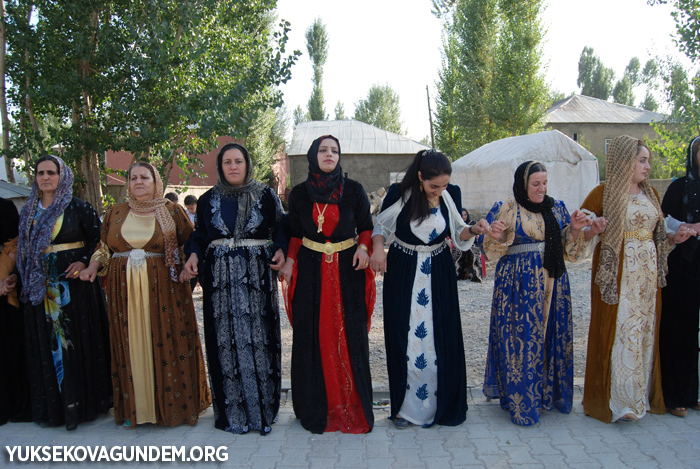 Yüksekova Düğünleri (30-01 Ekim) 2017 241