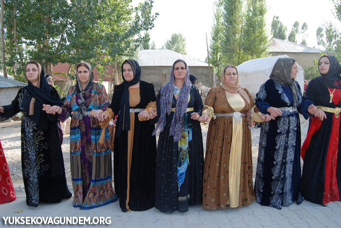 Yüksekova Düğünleri (30-01 Ekim) 2017 242