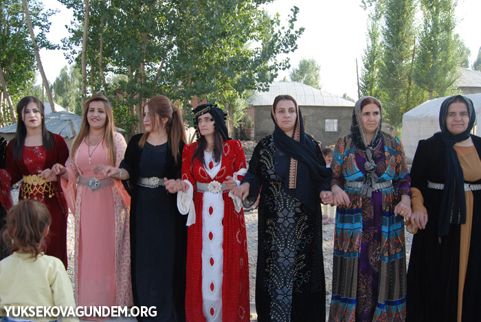 Yüksekova Düğünleri (30-01 Ekim) 2017 243