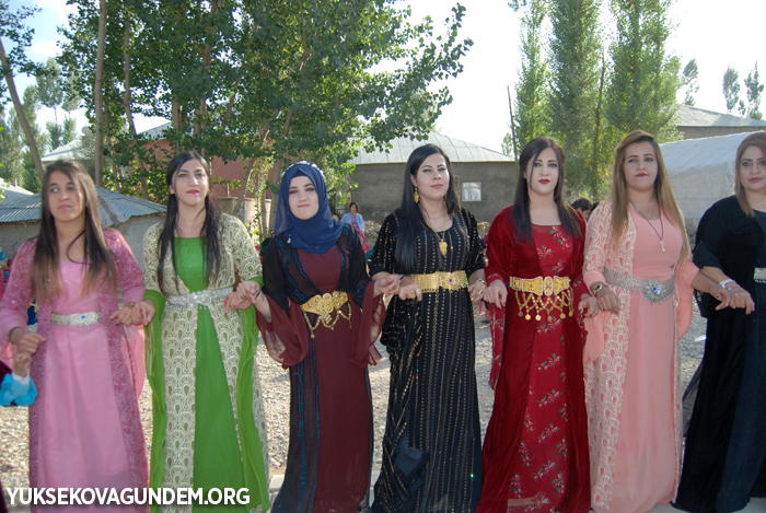 Yüksekova Düğünleri (30-01 Ekim) 2017 244