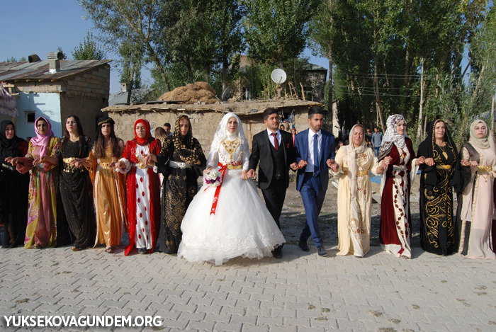 Yüksekova Düğünleri (30-01 Ekim) 2017 264