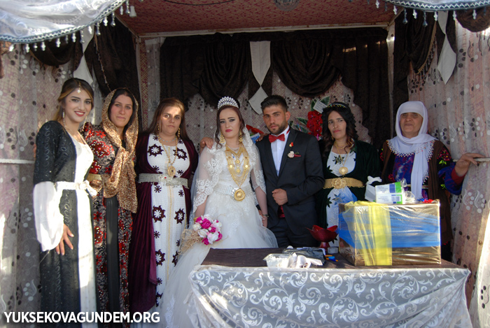 Yüksekova Düğünleri (30-01 Ekim) 2017 289