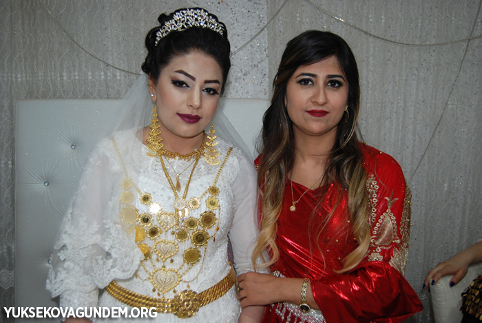 Yüksekova Düğünleri (30-01 Ekim) 2017 56