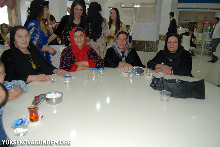 Yüksekova Düğünleri (30-01 Ekim) 2017 61