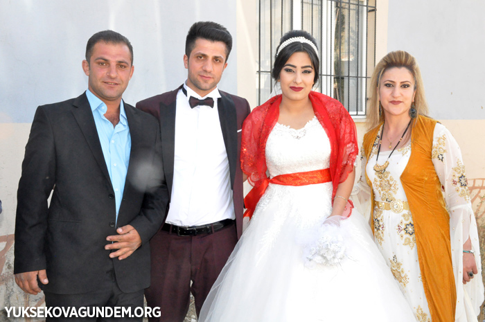 Yüksekova Düğünleri (7-8 Ekim) 2017 230