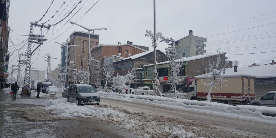 Yüksekova'da kar yağışı etkili oldu
