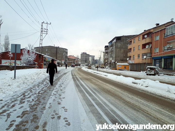 Yüksekova'da Kar Yağışı 10