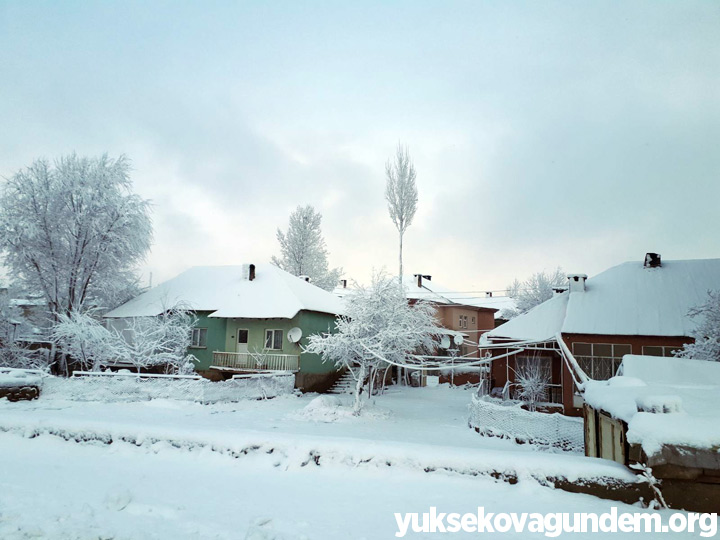 Yüksekova'da Kar Yağışı 14