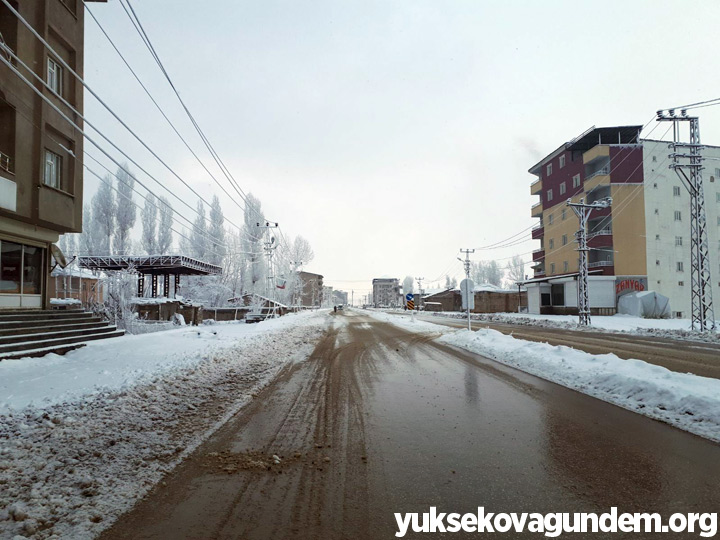 Yüksekova'da Kar Yağışı 18