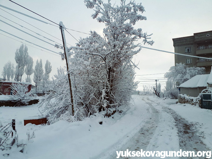 Yüksekova'da Kar Yağışı 19