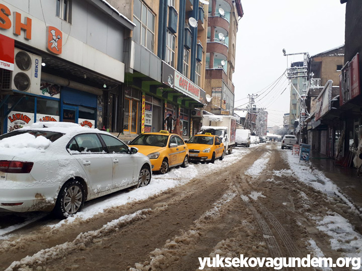 Yüksekova'da Kar Yağışı 2