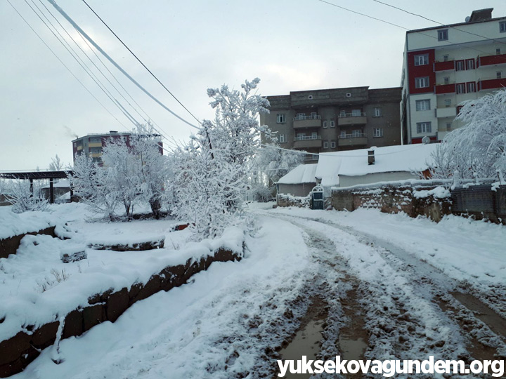 Yüksekova'da Kar Yağışı 20