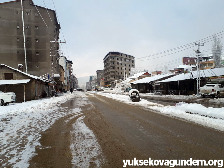 Yüksekova'da Kar Yağışı 8
