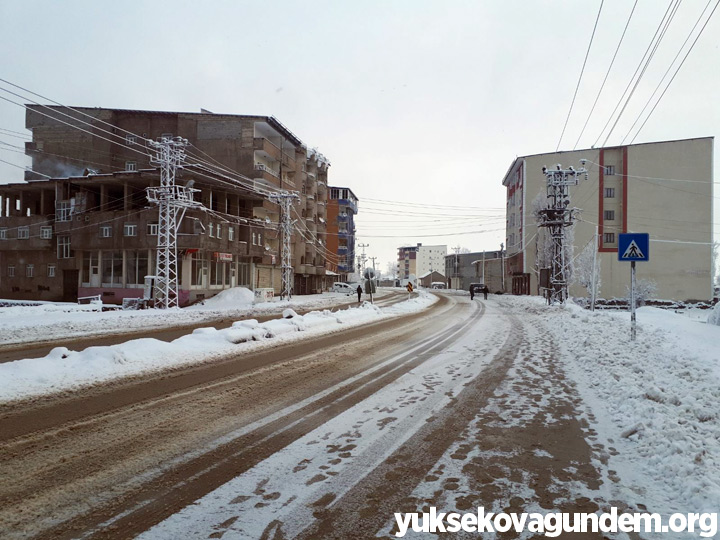 Yüksekova'da Kar Yağışı 9