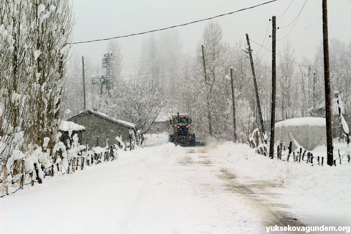 Yüksekova'da 14 köy ve 54 mezra yolu kardan kapandı 2